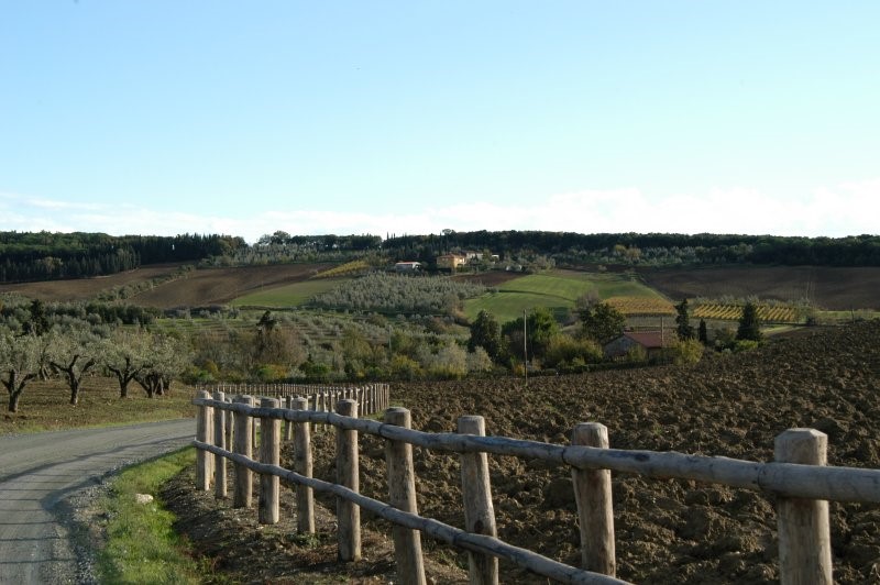 BIBBONA CAMPAGNA